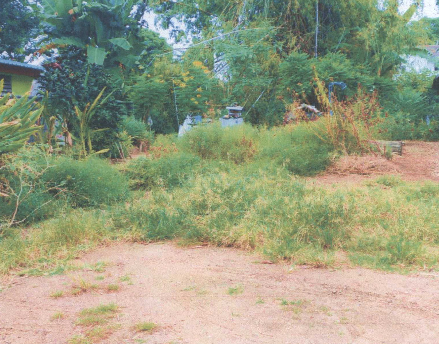 รูปที่ดินว่างเปล่า ป่าตัน เมืองเชียงใหม่ เชียงใหม่