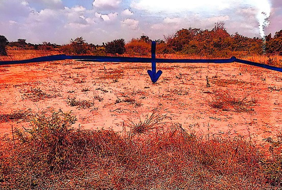 รูปที่ดินว่างเปล่า หนองระเวียง เมืองนครราชสีมา นครราชสีมา