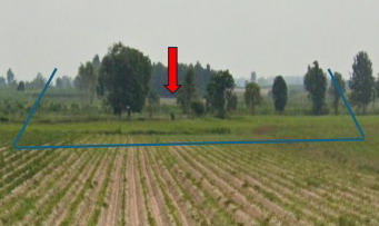 รูปที่ดินว่างเปล่า หนองบัว หนองกุงศรี กาฬสินธุ์
