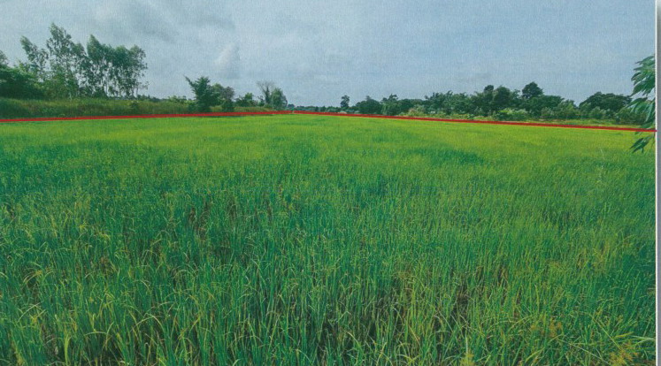 รูปที่ดินว่างเปล่า ขั้นไดใหญ่ เมืองยโสธร ยโสธร