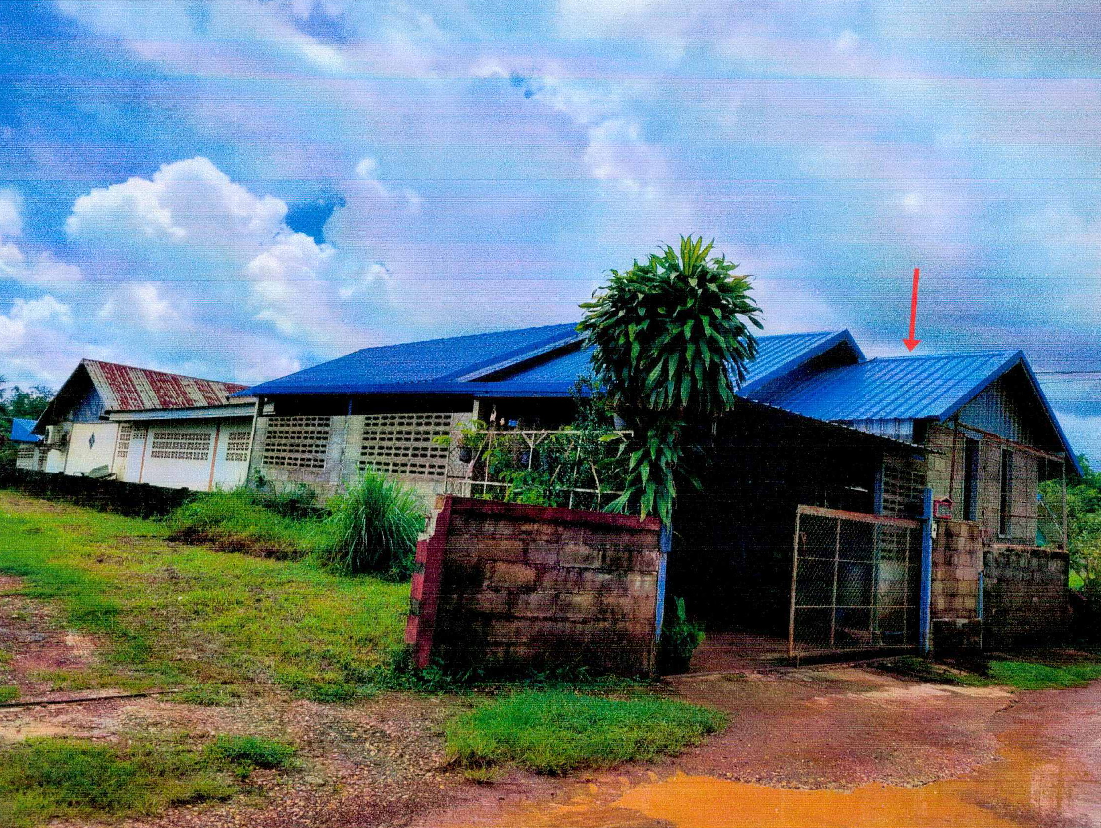 รูปที่ดินพร้อมสิ่งปลูกสร้าง บ้านต้อน รัตนวาปี หนองคาย
