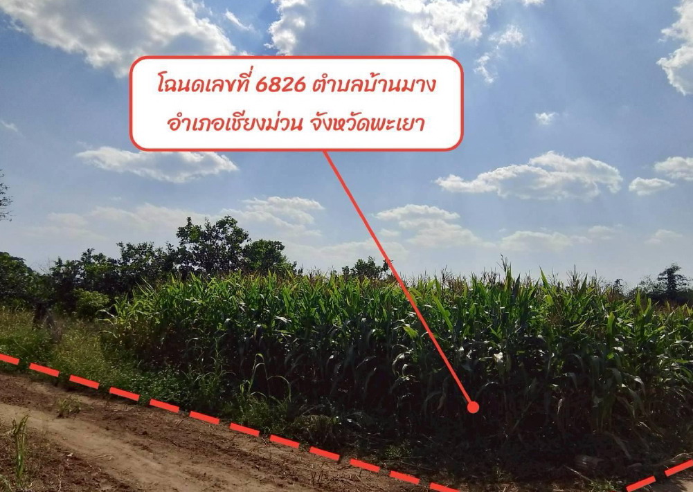 รูปที่ดินว่างเปล่า บ้านมาง เชียงม่วน พะเยา