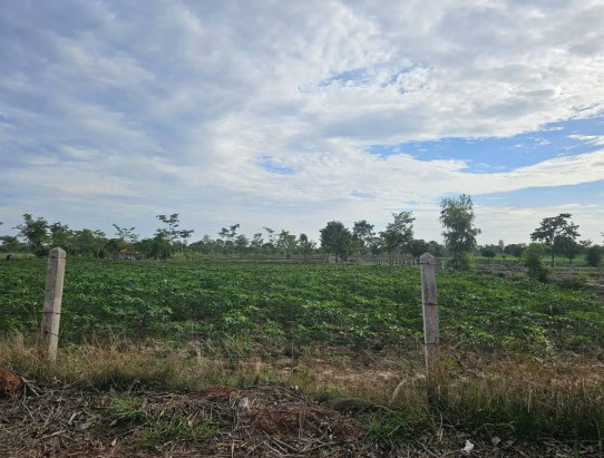 รูปที่ดินว่างเปล่า สามขา กุฉินารายณ์ กาฬสินธุ์