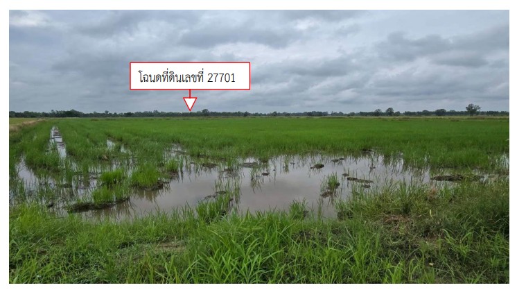รูปที่ดินว่างเปล่า คลองขลุง คลองขลุง กำแพงเพชร