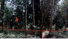 รูปที่ดินว่างเปล่า สุไหงโก-ลก สุไหงโก-ลก นราธิวาส