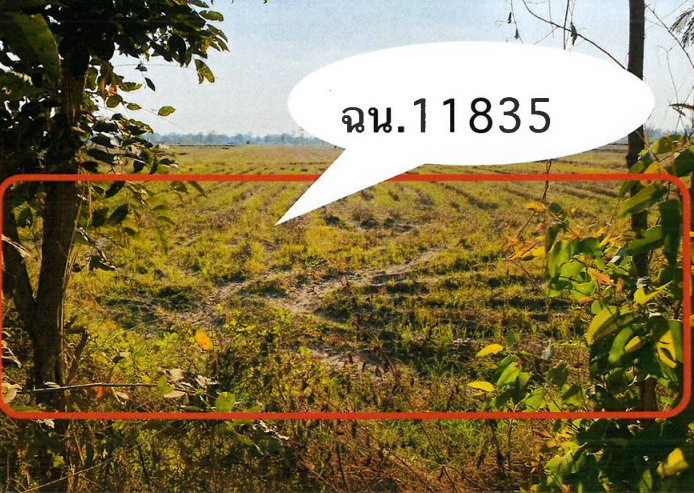 รูปที่ดินว่างเปล่า ดอนแตง ขาณุวรลักษบุรี กำแพงเพชร