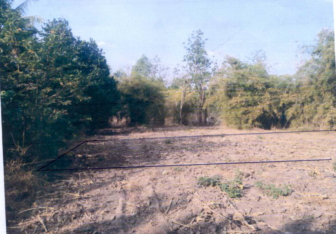 รูปที่ดินว่างเปล่า ตะคุ ปักธงชัย นครราชสีมา