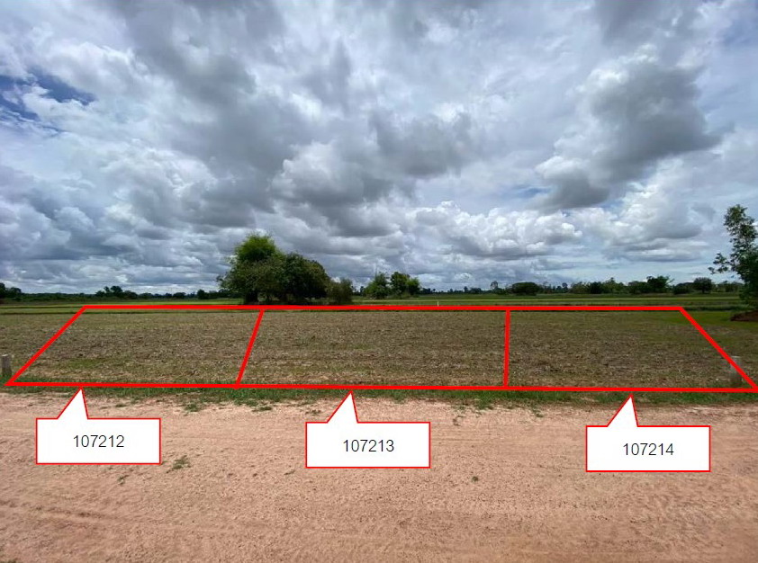 รูปที่ดินว่างเปล่า ขั้นไดใหญ่ เมืองยโสธร ยโสธร
