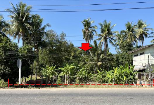 รูปที่ดินว่างเปล่า ทับกฤช ชุมแสง นครสวรรค์