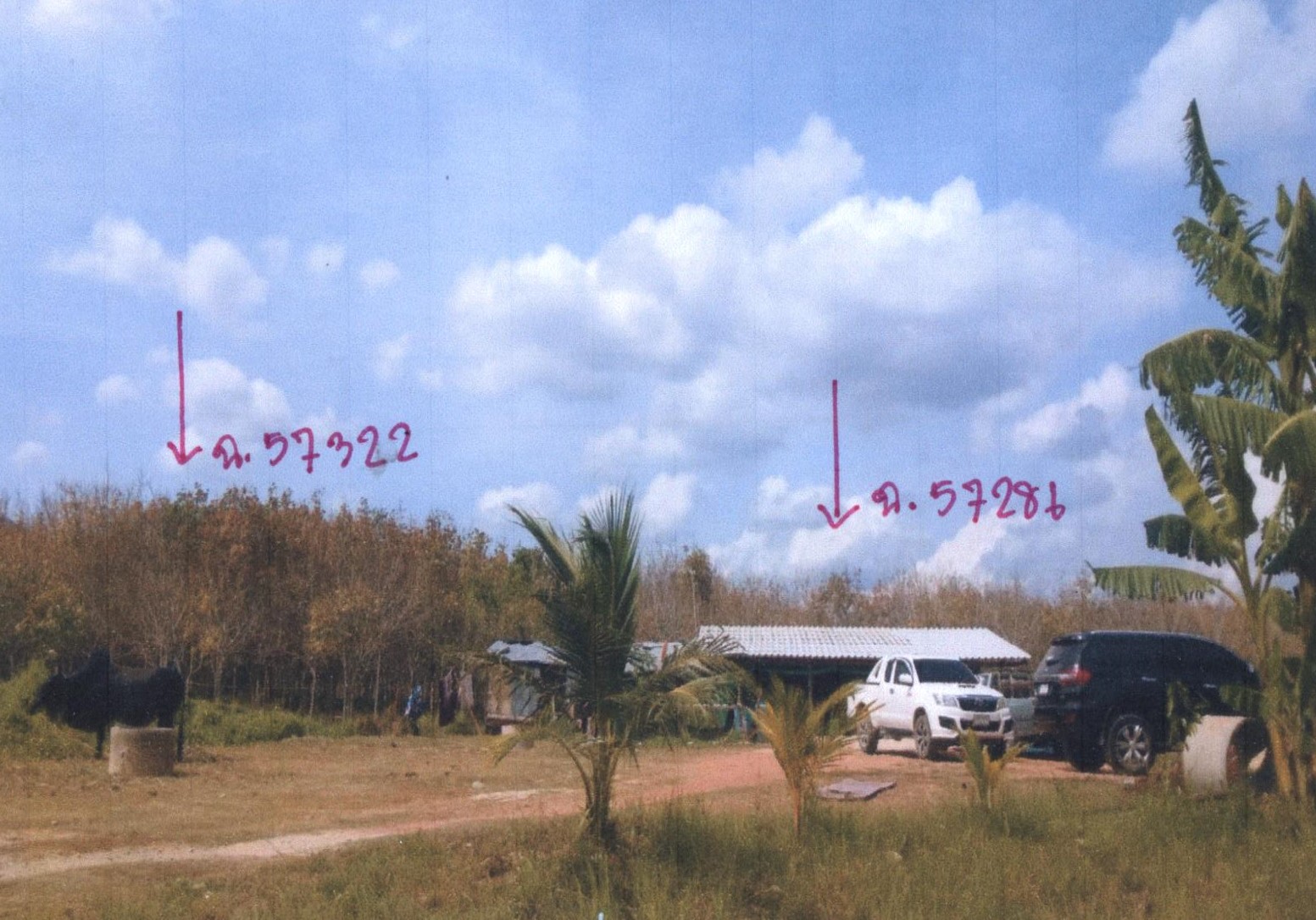รูปที่ดินว่างเปล่า ปาดังเบซาร์ สะเดา สงขลา