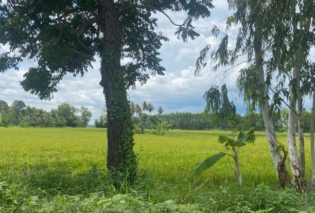 รูปที่ดินว่างเปล่า ตะคุ ปักธงชัย นครราชสีมา