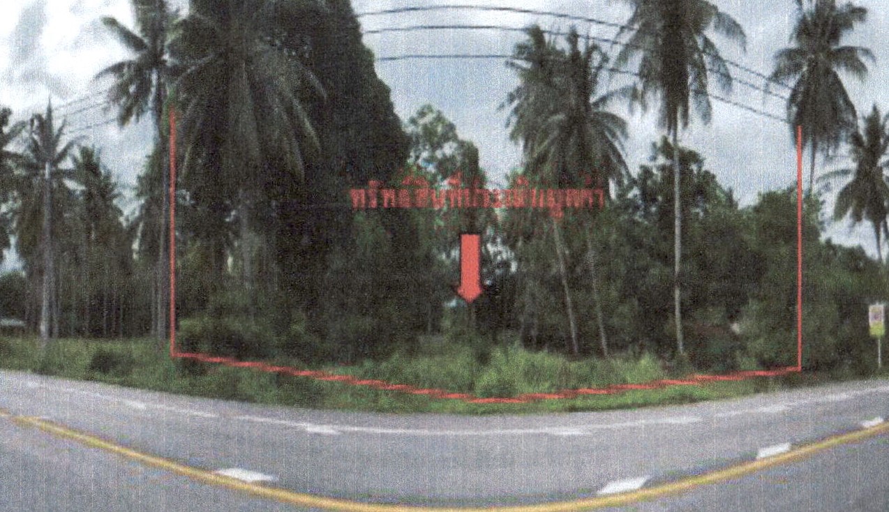 รูปที่ดินว่างเปล่า จะรัง ยะหริ่ง ปัตตานี