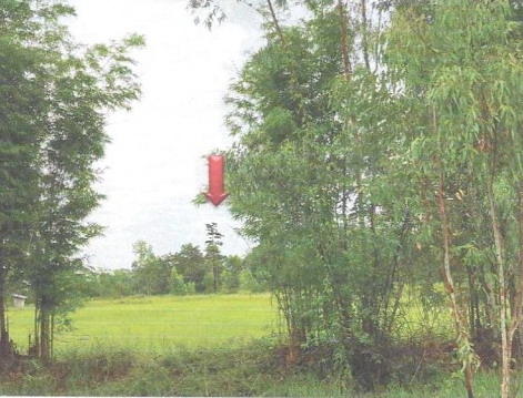 รูปที่ดินว่างเปล่า หนองเมือง ม่วงสามสิบ อุบลราชธานี