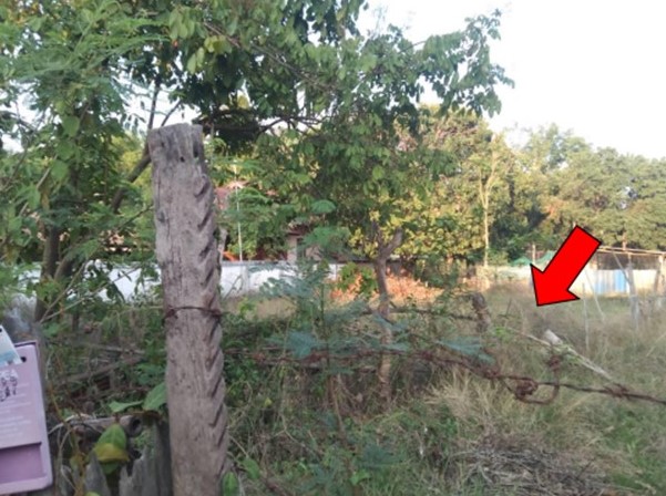 รูปที่ดินพร้อมสิ่งปลูกสร้าง บ้านแก้ง นาแก นครพนม
