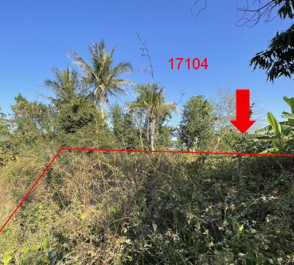 รูปที่ดินว่างเปล่า โคกขมิ้น พลับพลาชัย บุรีรัมย์