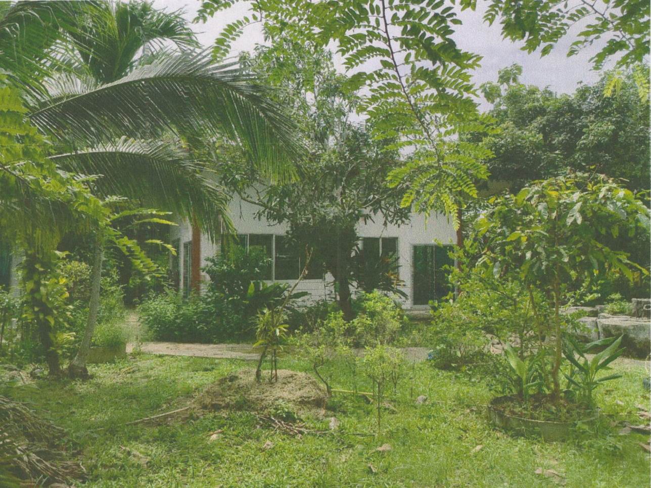 รูปที่ดินพร้อมสิ่งปลูกสร้าง บ้านแลง เมืองระยอง ระยอง