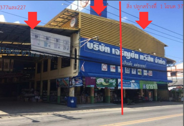รูปที่ดินพร้อมสิ่งปลูกสร้าง แม่เจดีย์ เวียงป่าเป้า เชียงราย