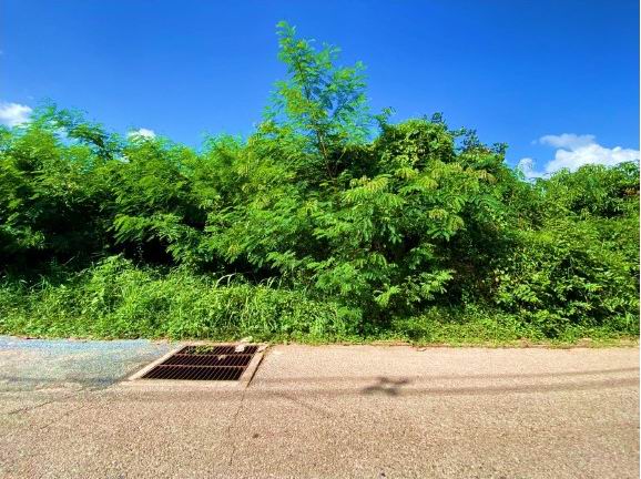 รูปที่ดินว่างเปล่า ธาตุพนมเหนือ ธาตุพนม นครพนม