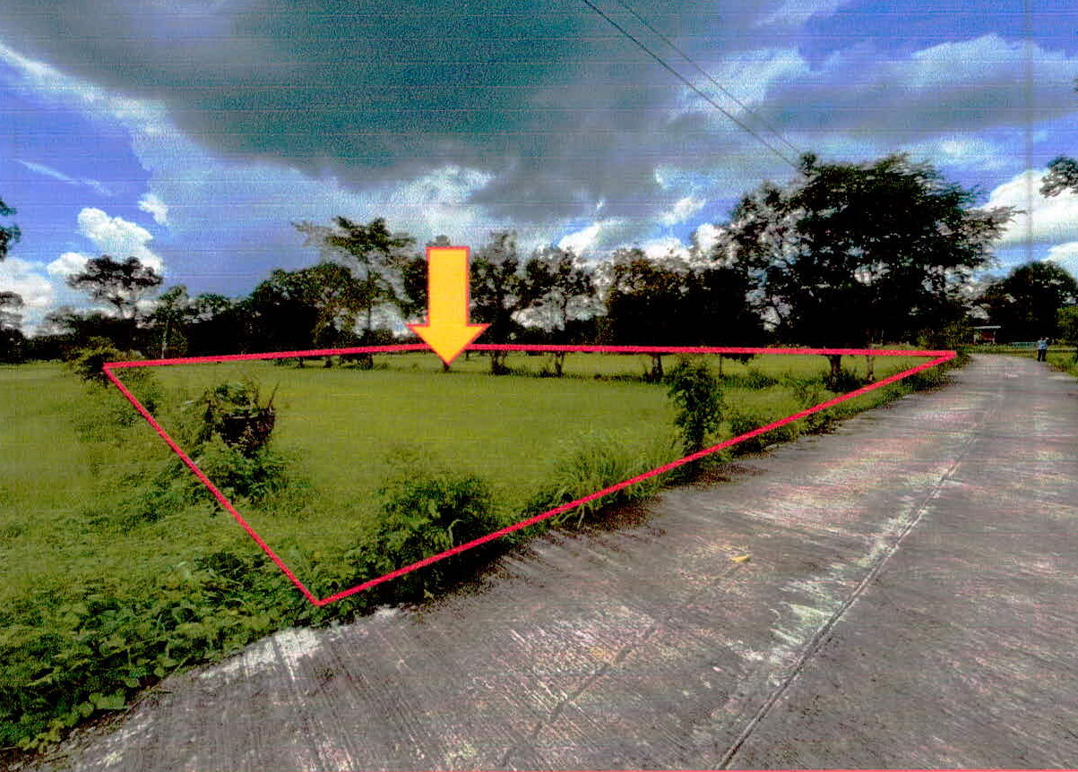 รูปที่ดินว่างเปล่า โพนค้อ เมืองศรีสะเกษ ศรีสะเกษ
