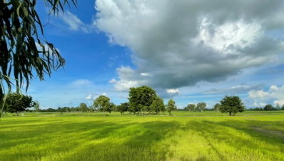 รูปที่ดินว่างเปล่า เจ้าท่า กมลาไสย กาฬสินธุ์