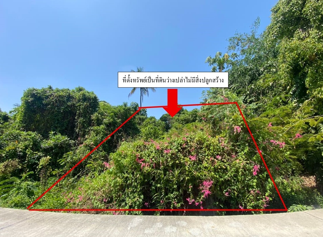 รูปที่ดินว่างเปล่า ไร่ขิง สามพราน นครปฐม