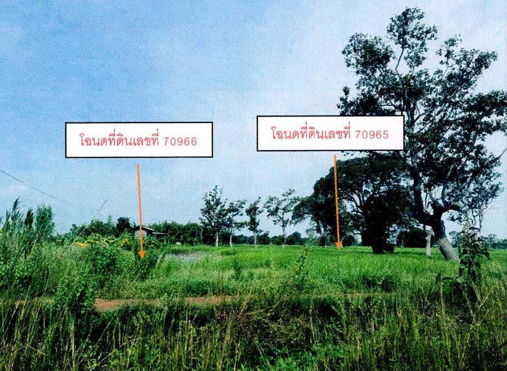 รูปที่ดินว่างเปล่า สร้างปี่ ราษีไศล ศรีสะเกษ