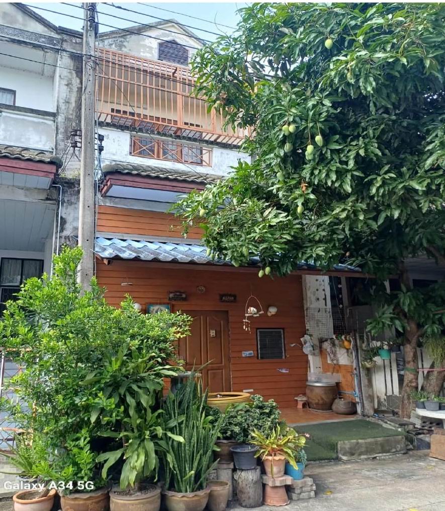 รูปที่ดินพร้อมสิ่งปลูกสร้าง ท่าตลาด สามพราน นครปฐม