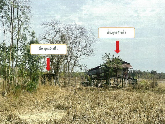รูปที่ดินพร้อมสิ่งปลูกสร้าง เรณู เรณูนคร นครพนม
