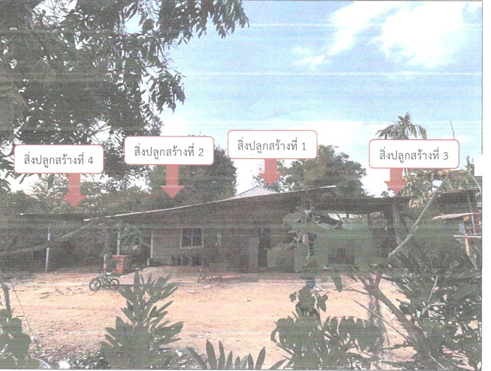 รูปที่ดินพร้อมสิ่งปลูกสร้าง ตะโกทอง ซับใหญ่ ชัยภูมิ