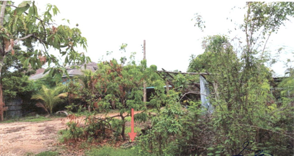 รูปที่ดินว่างเปล่า ร่องฟอง เมืองแพร่ แพร่