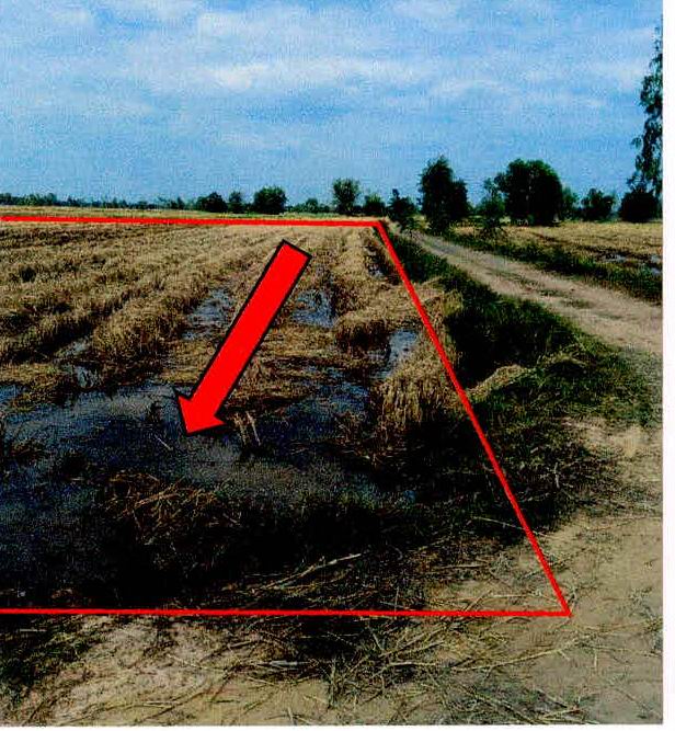 รูปที่ดินว่างเปล่า เมืองแคน ราษีไศล ศรีสะเกษ