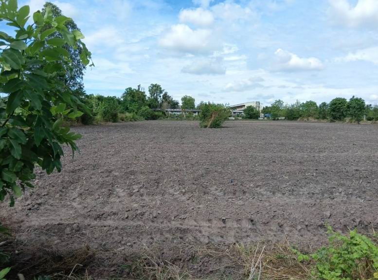 รูปที่ดินว่างเปล่า ไตรตรึงษ์ เมืองกำแพงเพชร กำแพงเพชร