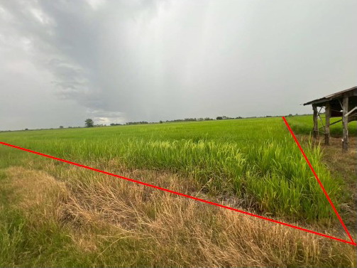รูปที่ดินว่างเปล่า เนินมะกอก บางมูลนาก พิจิตร