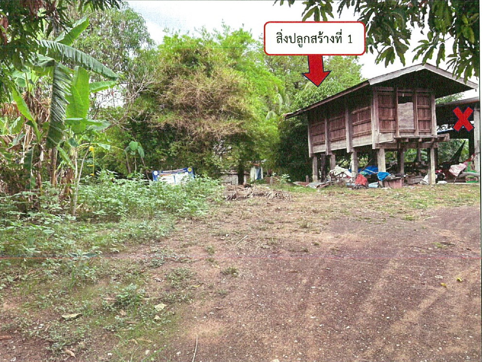 รูปที่ดินพร้อมสิ่งปลูกสร้าง หนองซอน เชียงยืน มหาสารคาม