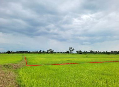 รูปที่ดินว่างเปล่า บ้านแจ้ง อาจสามารถ ร้อยเอ็ด