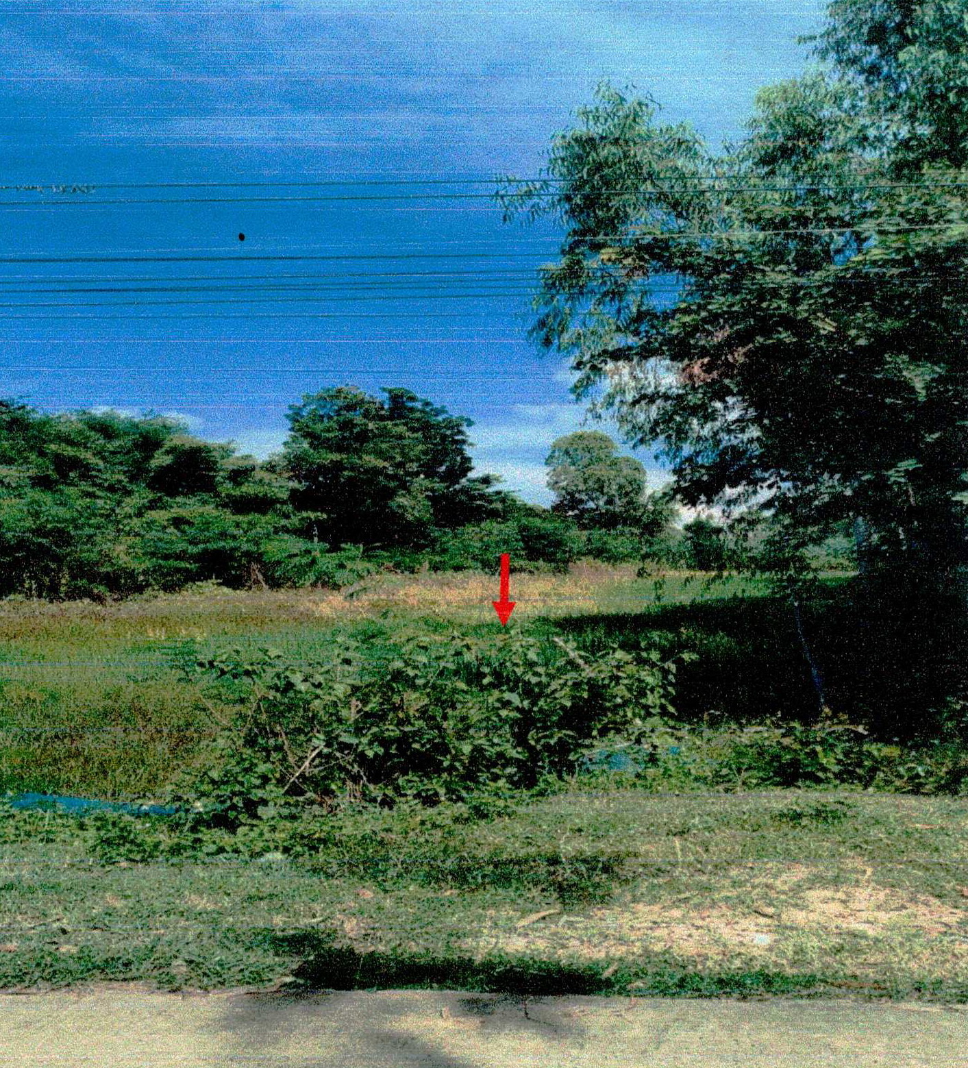 รูปที่ดินว่างเปล่า สำโรง เมืองสุรินทร์ สุรินทร์