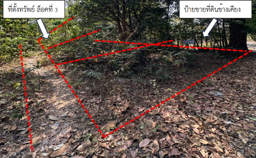 รูปที่ดินว่างเปล่า ขามใหญ่ เมืองอุบลราชธานี อุบลราชธานี