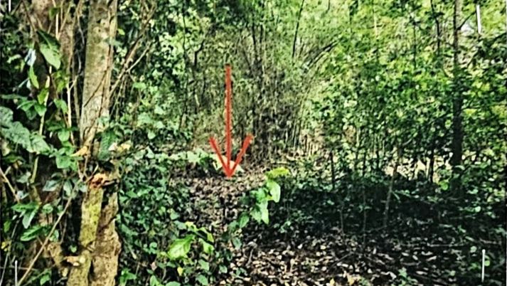 รูปที่ดินว่างเปล่า เชียงแหว กุมภวาปี อุดรธานี