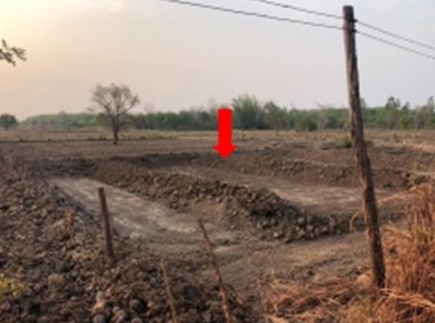 รูปที่ดินว่างเปล่า ปลาปาก ปลาปาก นครพนม