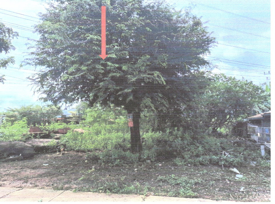 รูปที่ดินว่างเปล่า หนองบัวระเหว หนองบัวระเหว ชัยภูมิ