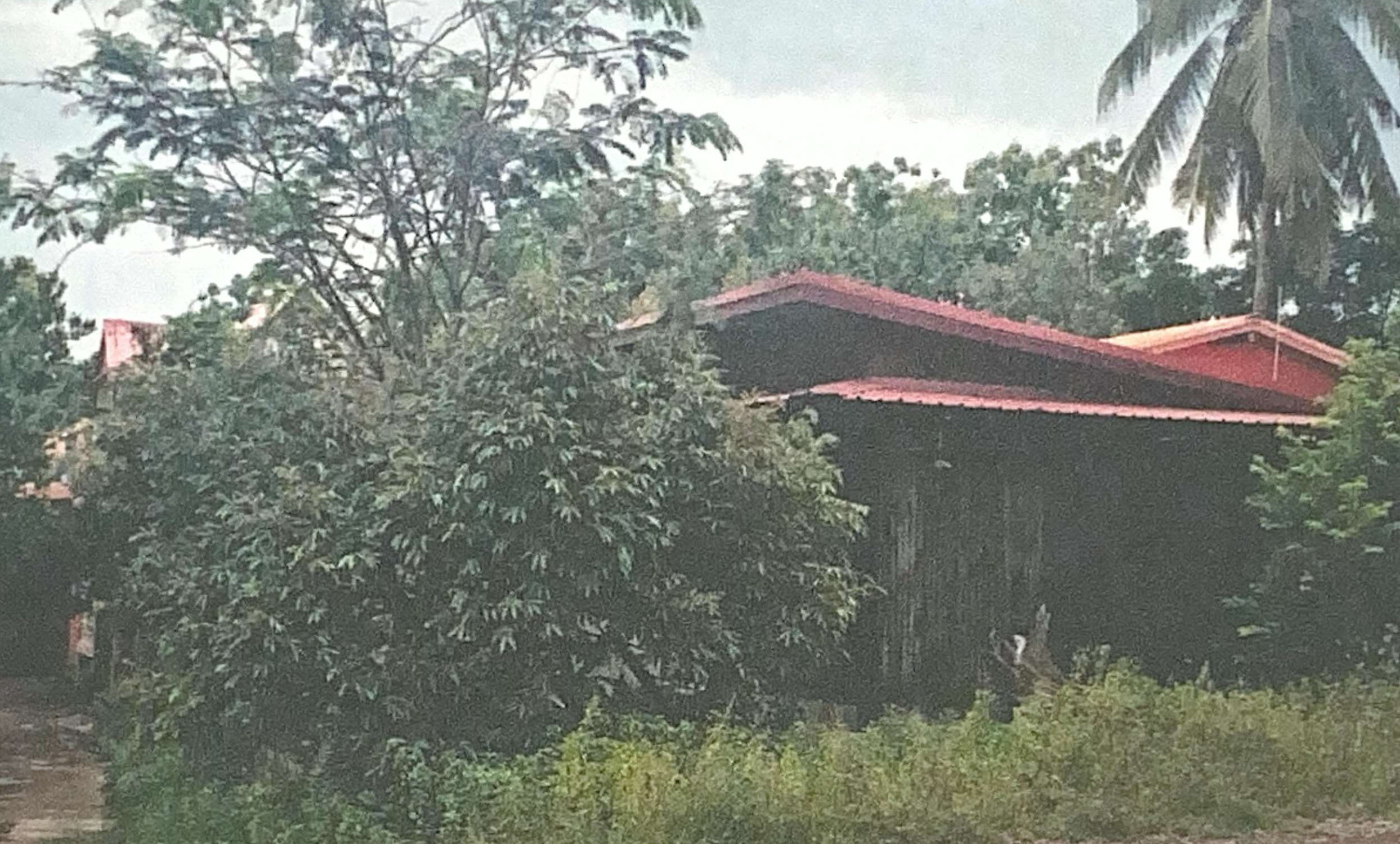 รูปที่ดินพร้อมสิ่งปลูกสร้าง หนองจิก คีรีมาศ สุโขทัย