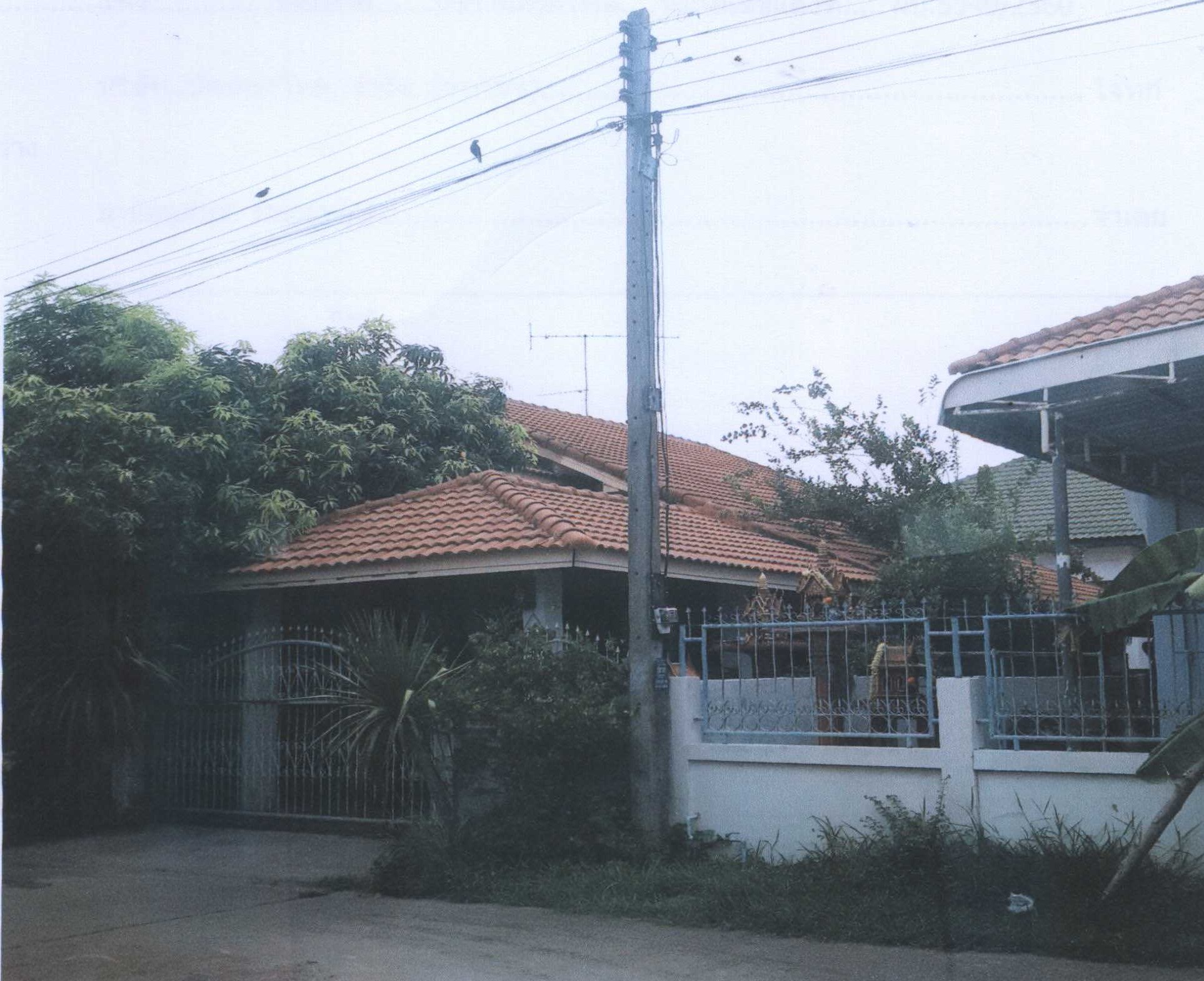 รูปที่ดินพร้อมสิ่งปลูกสร้าง ตาคลี ตาคลี นครสวรรค์