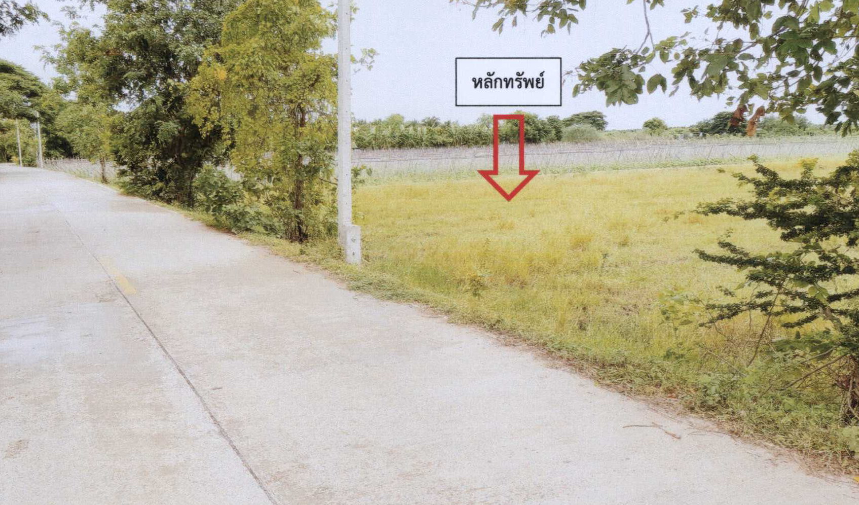 รูปที่ดินว่างเปล่า โคกหม้อ เมืองราชบุรี ราชบุรี