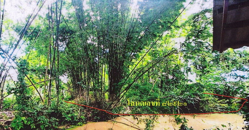 รูปที่ดินว่างเปล่า บ้านใหม่ เมืองพะเยา พะเยา