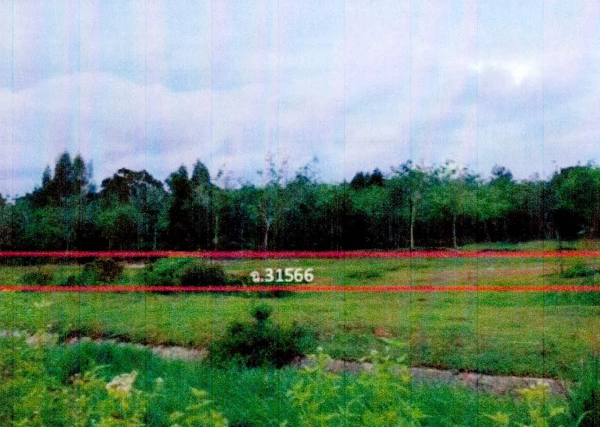 รูปที่ดินว่างเปล่า บ่อทอง หนองจิก ปัตตานี