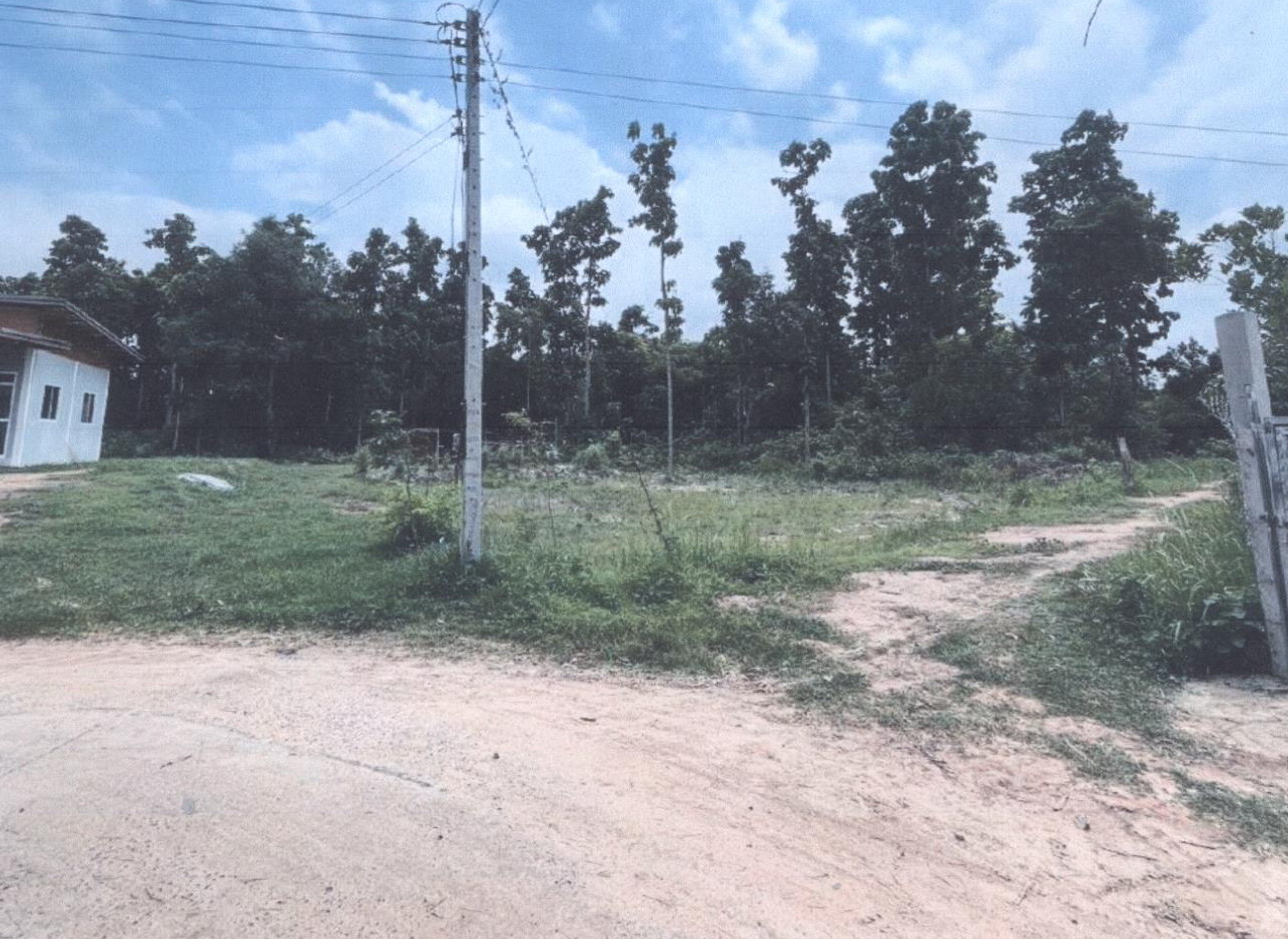 รูปที่ดินว่างเปล่า นาสะไม ตระการพืชผล อุบลราชธานี