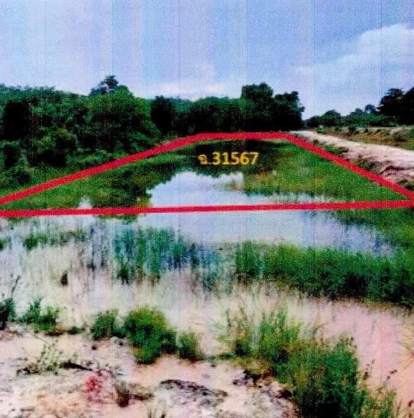 รูปที่ดินว่างเปล่า บ่อทอง หนองจิก ปัตตานี
