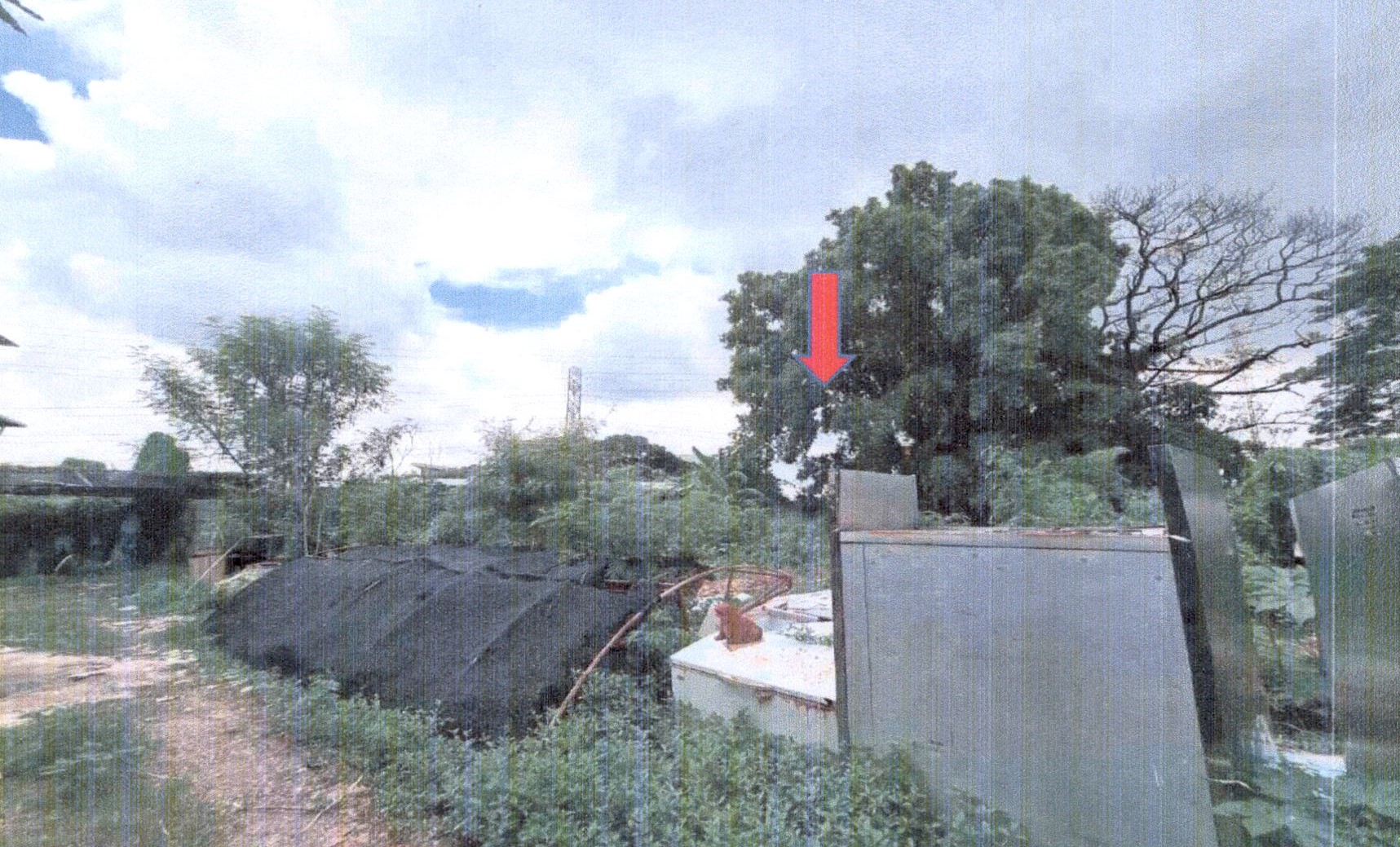 รูปที่ดินว่างเปล่า ประเวศ ประเวศ กรุงเทพมหานคร