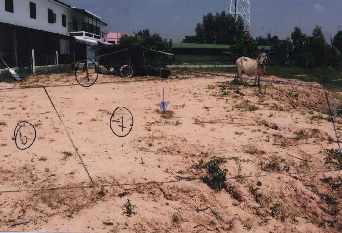 รูปที่ดินว่างเปล่า หนองแสง วาปีปทุม มหาสารคาม