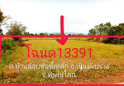 รูปที่ดินว่างเปล่า บ้านน้อยซุ้มขี้เหล็ก เนินมะปราง พิษณุโลก